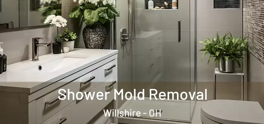 Shower Mold Removal Willshire - OH