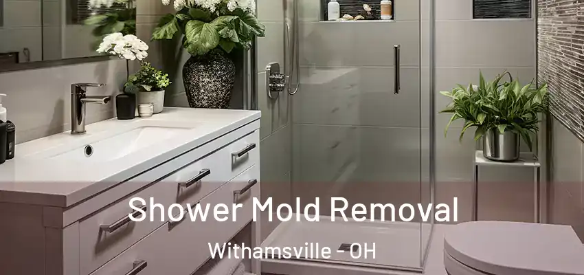  Shower Mold Removal Withamsville - OH