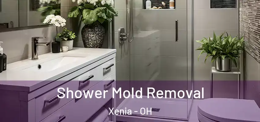 Shower Mold Removal Xenia - OH
